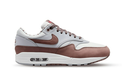 Nike Air Max 1 Shima Shima (2023)